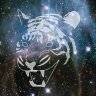 TIGER IN SPACE